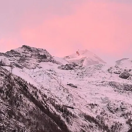 公寓 Haus Anis Edel Alpine 萨斯费