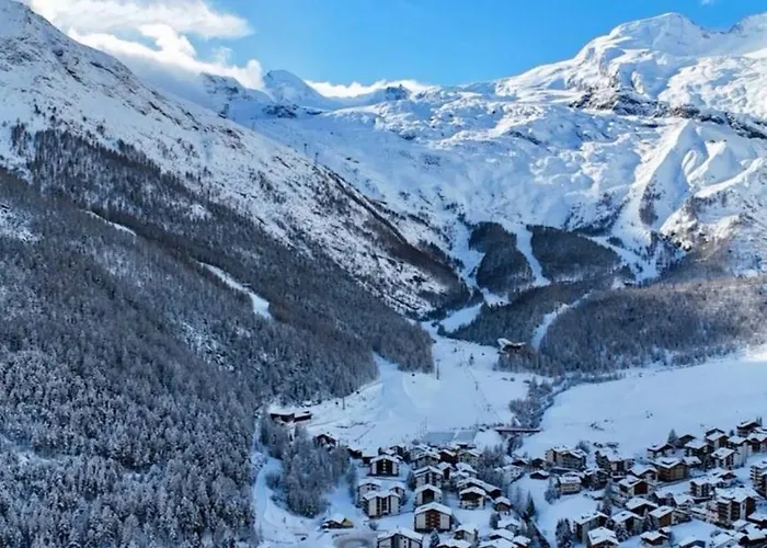 公寓 Haus Anis Edel Alpine 萨斯费