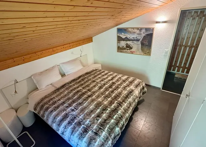 公寓 Haus Anis Edel Alpine 萨斯费