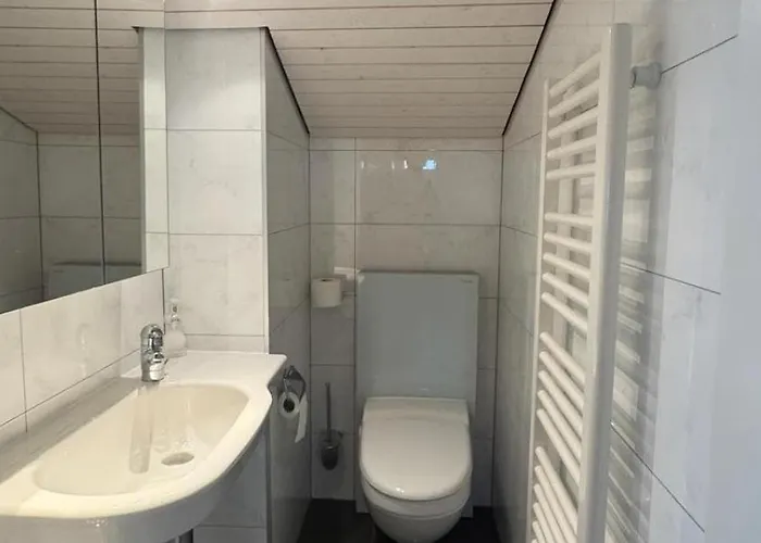 Haus Anis Edel Alpine 萨斯费