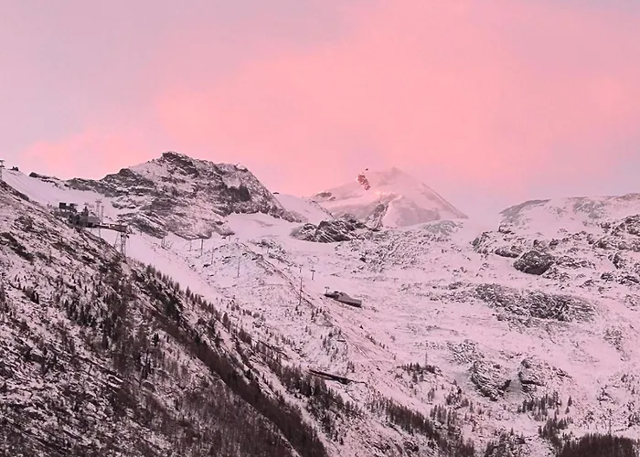 公寓 Haus Anis Edel Alpine 萨斯费